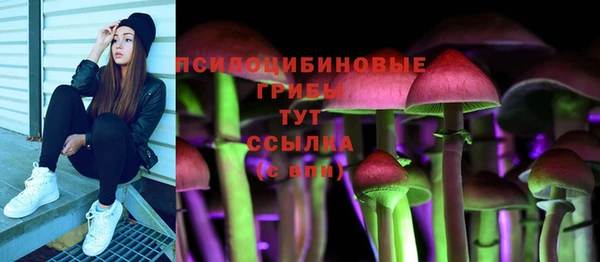 трава Надым