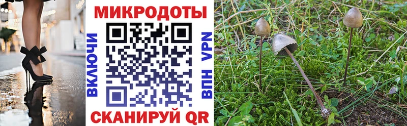 Псилоцибиновые грибы прущие грибы  Купить где  Красный Сулин 