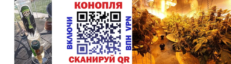 Шишки марихуана план Купить Красный Сулин